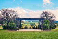Skyline Terrace