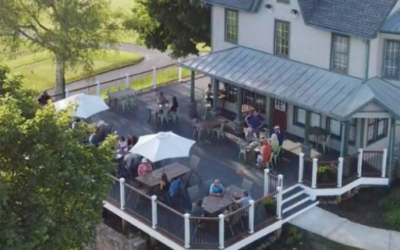 Why You Should Visit The Countryside